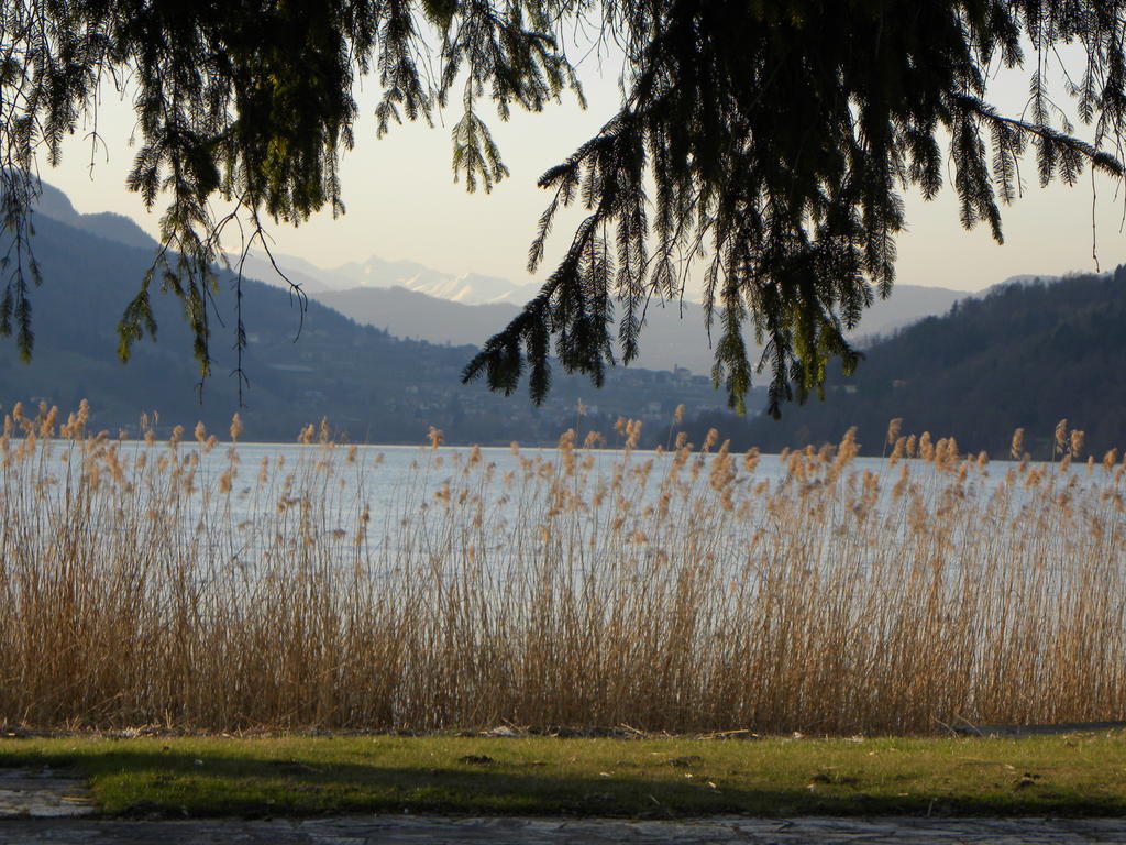 Casa De Val Apartman Calceranica al Lago Kültér fotó